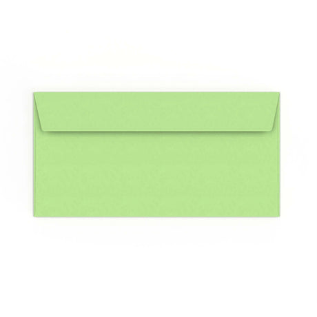 DL Pale Green Peel & Seal Envelope (110 x 220mm)