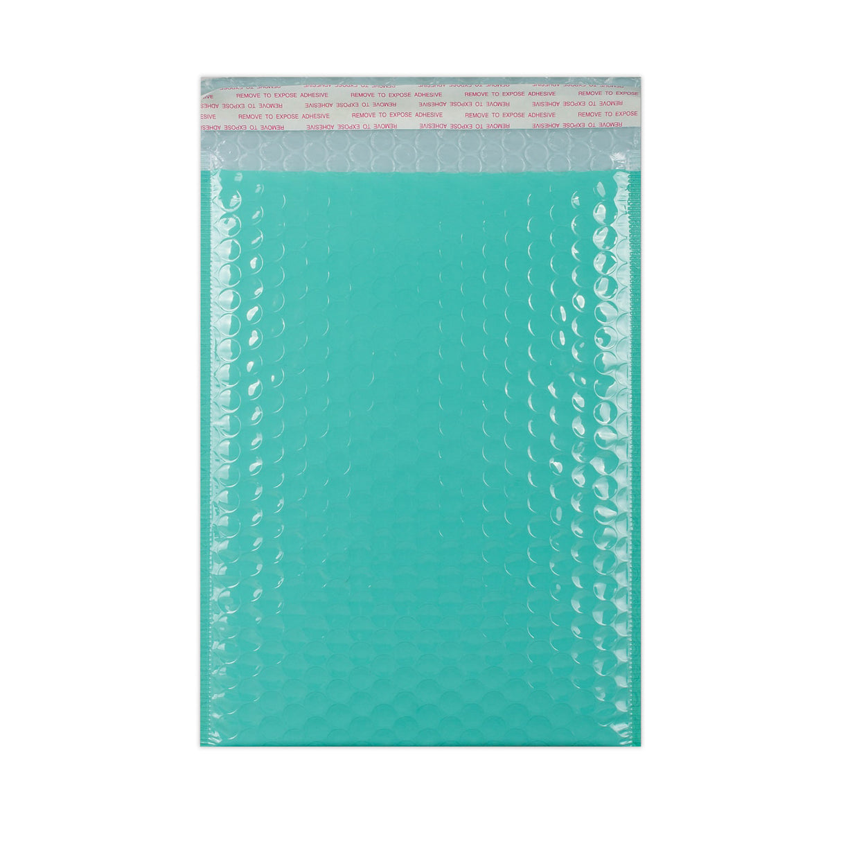 Gloss Finish Bubble Bag Mailers
